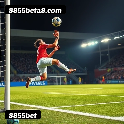 6 vantagens exclusivas do programa VIP da 8855bet